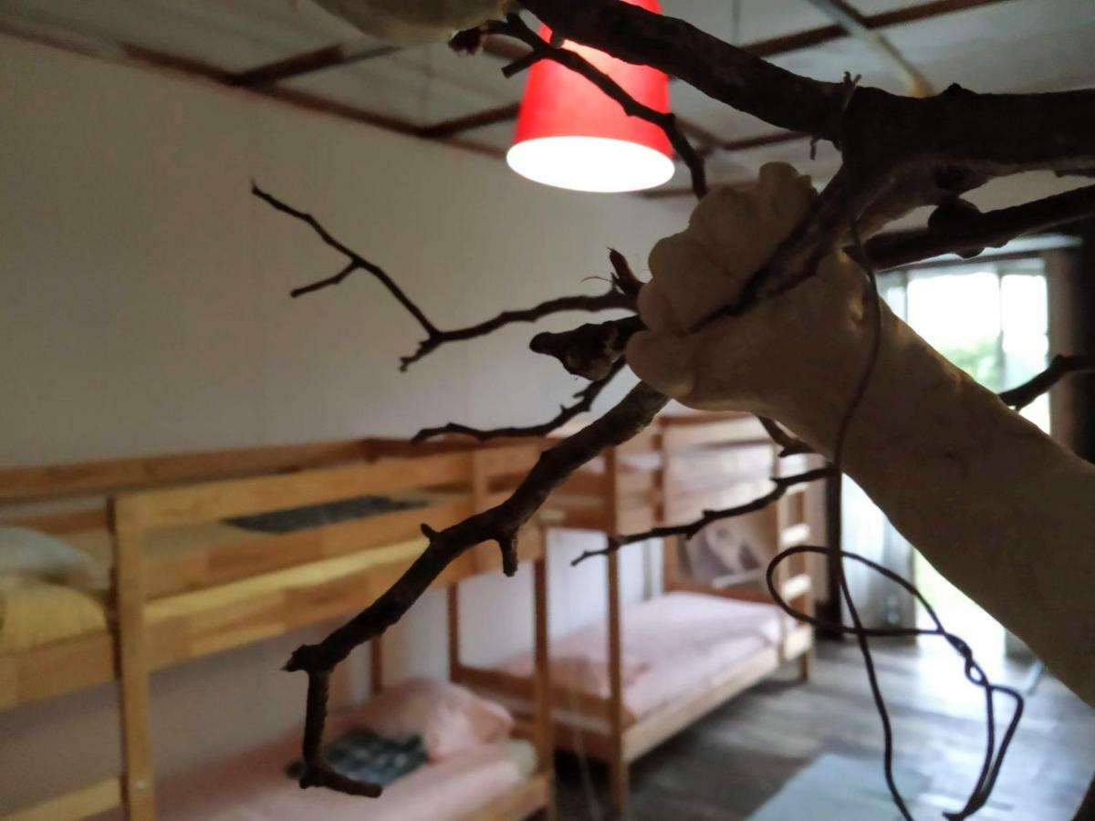 בראגה Family Adams House Hostel מראה חיצוני תמונה